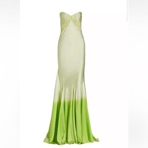 Alejandra Alonso Rojas ombré silk bustier gown size 4